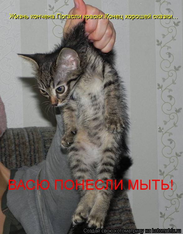 Жизнь кончена.Погасли краски.Конец хорошей сказки... ВАСЮ ПОНЕСЛИ МЫТЬ!... Котоматрица: Жизнь кончена.Погасли краски.Конец хорошей сказки... ВАСЮ ПОНЕСЛИ МЫТЬ!