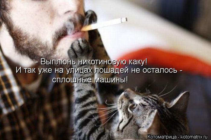 - Выплюнь никотиновую каку! И так уже на улицах лошадей не осталось - сплошные машины!... Котоматрица: - Выплюнь никотиновую каку! И так уже на улицах лошадей не осталось - сплошные машины!