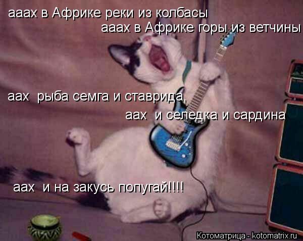 ааах в Африке реки из колбасы ааах в Африке горы из ветчины аах рыба семга и ставрида, аах и селед... Котоматрица: ааах в Африке реки из колбасы ааах в Африке горы из ветчины аах рыба семга и ставрида, аах и селедка и сардина аах и на закусь попугай!!!!
