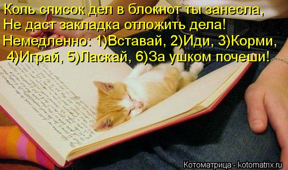 Котоматрица: Коль список дел в блокнот ты занесла,   Не даст закладка отложить дела!   Немедленно: 1)Вставай, 2)Иди, 3)Корми,   4)Играй, 5)Ласкай, 6)За ушком почеш