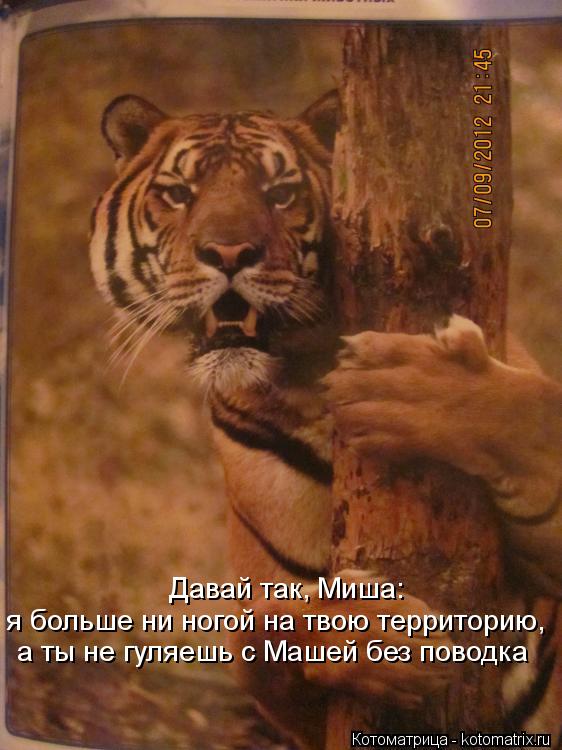 Давай так, Миша: я больше ни ногой на твою территорию, а ты не гуляешь с Машей без поводка... Котоматрица: Давай так, Миша: я больше ни ногой на твою территорию, а ты не гуляешь с Машей без поводка