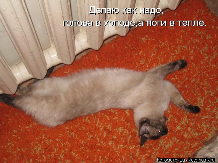 Почему голову нужно держать в холоде а ноги в тепле Почему голову нужно держать в холоде а ноги в тепле