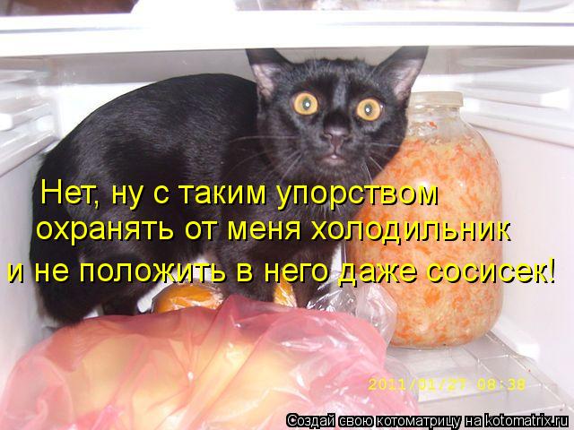 Нет, ну с таким упорством охранять от меня холодильник и не положить в него даже сосисек!... Котоматрица: Нет, ну с таким упорством охранять от меня холодильник и не положить в него даже сосисек!