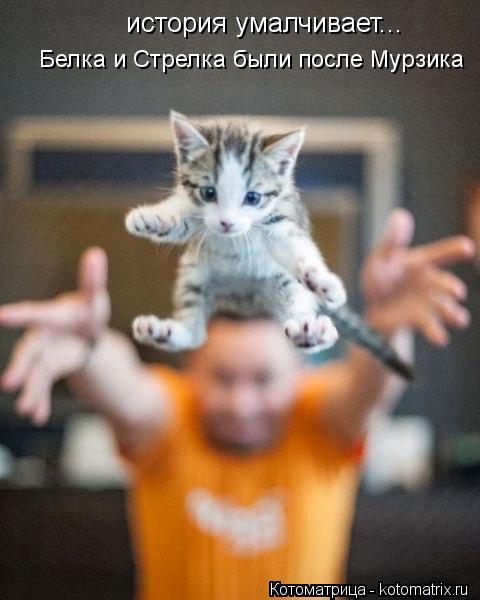 история умалчивает... Белка и Стрелка были после Мурзика... Котоматрица: история умалчивает... Белка и Стрелка были после Мурзика
