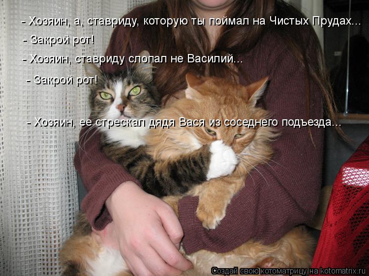 Котоматрица: - Хозяин, а, ставриду, которую ты поймал на Чистых Прудах... - Закрой рот! - Хозяин, ставриду слопал не Василий... - Закрой рот! - Хозяин, ее стреска