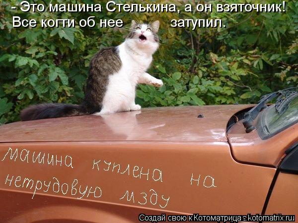 Котоматрица: - Это машина Стелькина, а он взяточник! Все когти об нее            затупил.