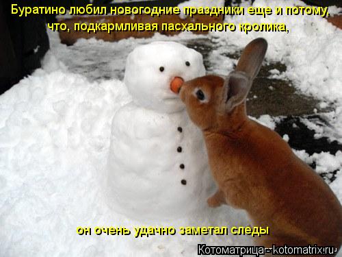 Буратино любил новогодние праздники еще и потому, что, подкармливая пасхального кролика, он очень уда... Котоматрица: Буратино любил новогодние праздники еще и потому, что, подкармливая пасхального кролика, он очень удачно заметал следы