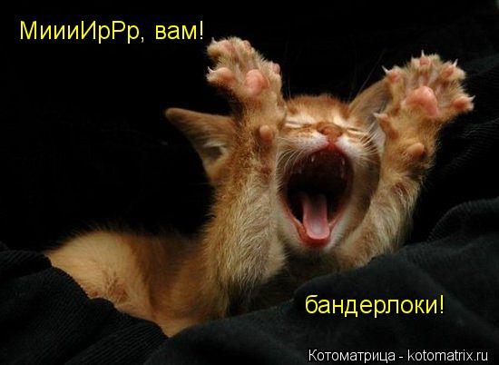Котоматрица: МиииИрРр, вам! бандерлоки!