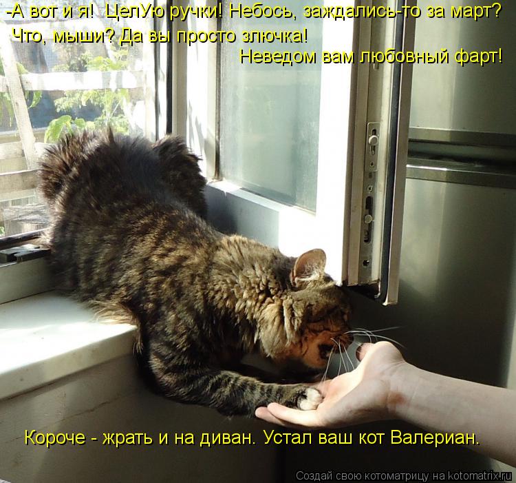 -А вот и я! ЦелУю ручки! Небось, заждались-то за март? Что, мыши? Да вы просто злючка! Неведом вам ... Котоматрица: -А вот и я! ЦелУю ручки! Небось, заждались-то за март? Что, мыши? Да вы просто злючка! Неведом вам любовный фарт! Короче - жрать и на диван. Уста