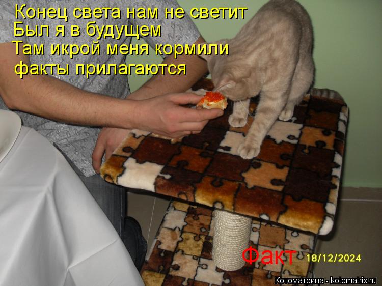 Котоматрица: Был я в будущем Там икрой меня кормили Конец света нам не светит факты прилагаются Факт