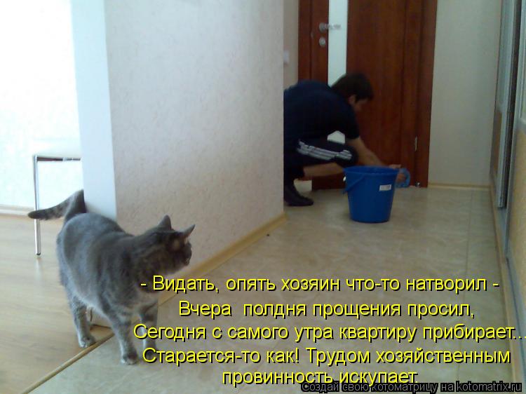 Сегодня с самого утра квартиру прибирает... Вчера полдня прощения просил, - Видать, опять хозяин что... Котоматрица: Сегодня с самого утра квартиру прибирает... Вчера полдня прощения просил, - Видать, опять хозяин что-то натворил - Старается-то как! Трудом хо