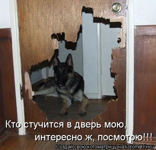 Кто стучится в дверь мою, интересно ж, посмотрю!!!... Котоматрица: Кто стучится в дверь мою, интересно ж, посмотрю!!!