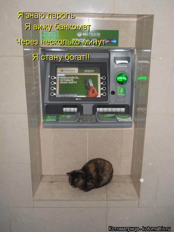 Я знаю пароль Я вижу банкомат Через несколько минут Я стану богат!!... Котоматрица: Я знаю пароль Я вижу банкомат Через несколько минут Я стану богат!!
