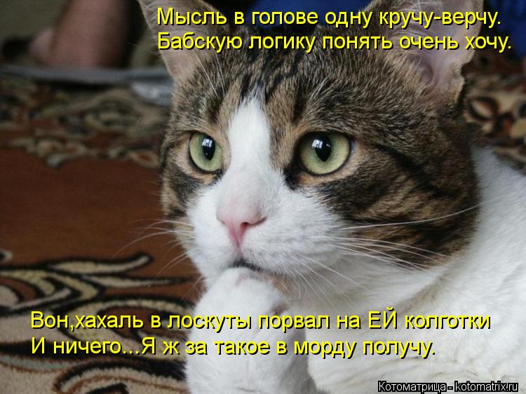 Мысль в голове одну кручу-верчу. Бабскую логику понять очень хочу. Вон,хахаль в лоскуты порвал на ЕЙ ... Котоматрица: Мысль в голове одну кручу-верчу. Бабскую логику понять очень хочу. Вон,хахаль в лоскуты порвал на ЕЙ колготки И ничего...Я ж за такое в морду п