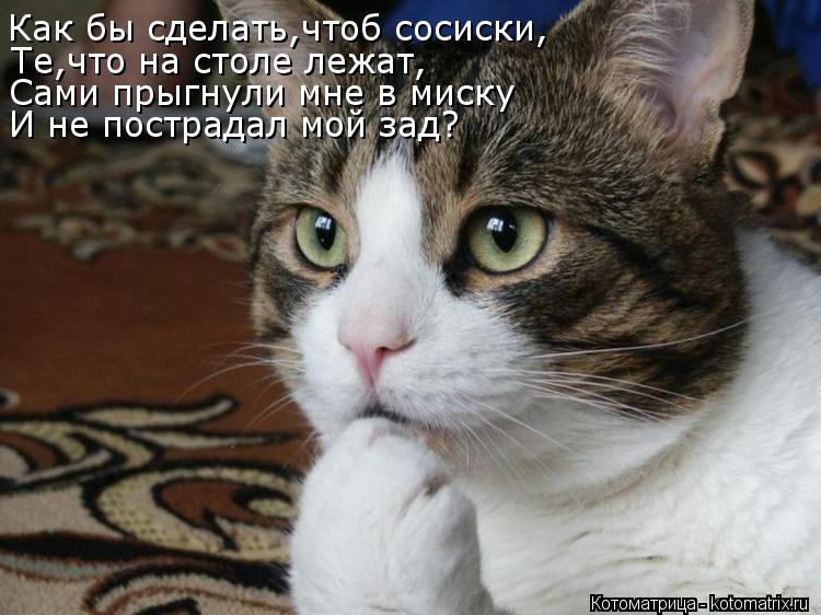 Как бы сделать,чтоб сосиски, Те,что на столе лежат, Сами прыгнули мне в миску И не пострадал мой зад?... Котоматрица: Как бы сделать,чтоб сосиски, Те,что на столе лежат, Сами прыгнули мне в миску И не пострадал мой зад?