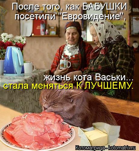 Котоматрица: После того, как БАБУШКИ посетили "Евровидение", жизнь кота Васьки... стала меняться К ЛУЧШЕМУ.