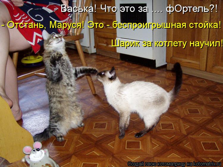 Котоматрица: - Васька! Что это за .... фОртель?! - Отстань, Маруся! Это - беспроигрышная стойка! Шарик за котлету научил!