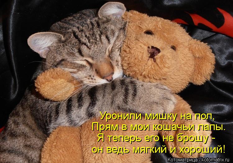Котоматрица: Уронили мишку на пол,  Прям в мои кошачьи лапы. Я теперь его не брошу -  он ведь мягкий и хороший!