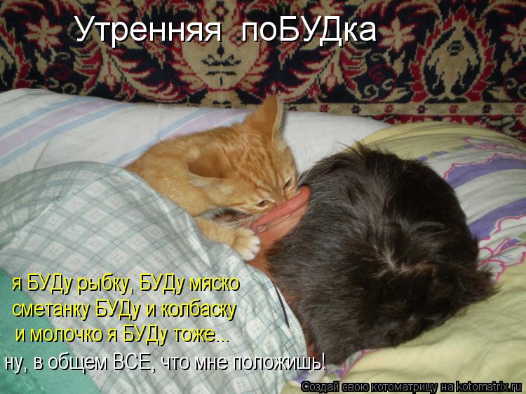 Котоматрица: Утренняя  поБУДка я БУДу рыбку, БУДу мяско сметанку БУДу и колбаску и молочко я БУДу тоже... ну, в общем ВСЕ, что мне положишь!