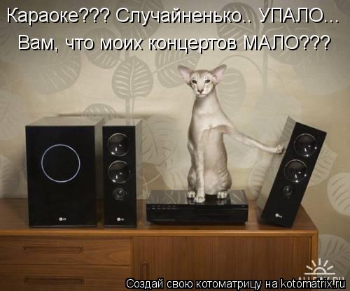 Котоматрица: Вам, что моих концертов МАЛО??? Караоке??? Случайненько.. УПАЛО...