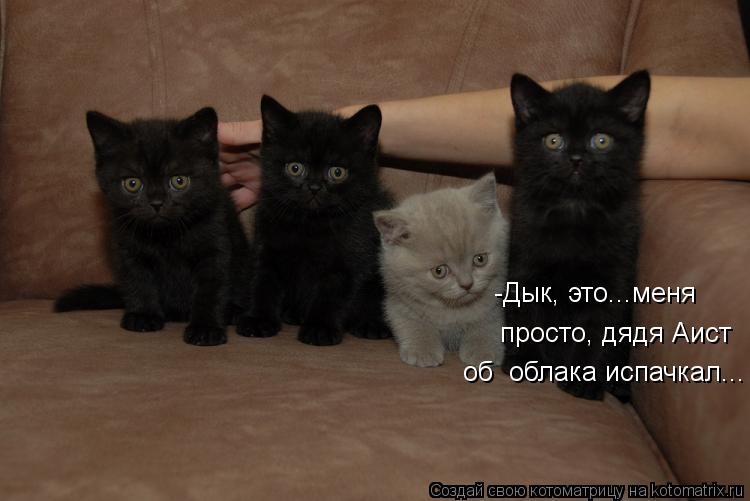 -Дык, это...меня   просто, дядя Аист об  облака испачкал...