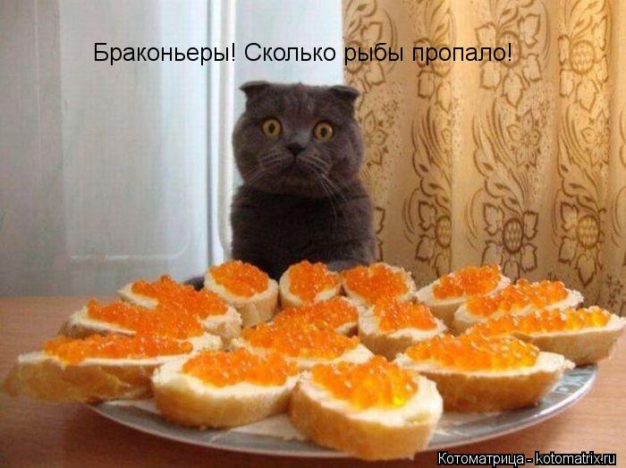 Браконьеры! Сколько рыбы пропало!