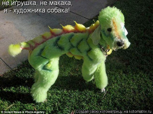 Котоматрица: не игрушка, не макака, я - художника собака!