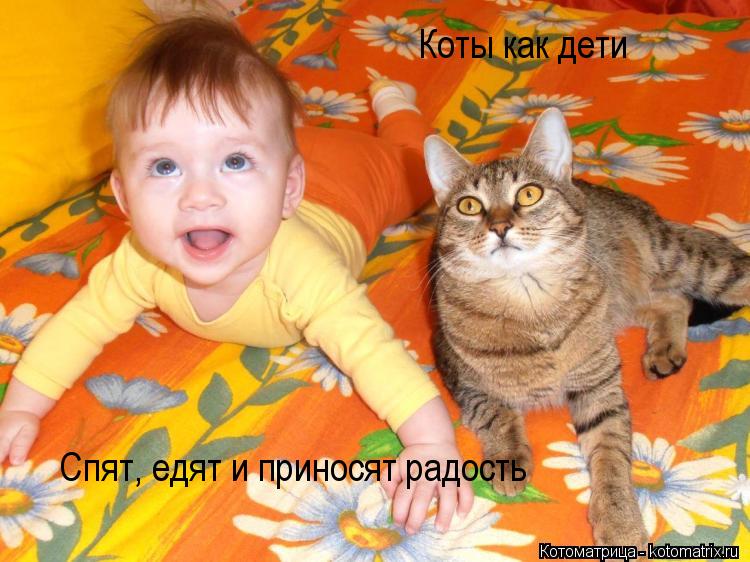 Котоматрица: Коты как дети Спят, едят и приносят радость