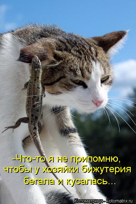 -Что-то я не припомню, чтобы у хозяйки бижутерия бегала и кусалась...... Котоматрица: -Что-то я не припомню, чтобы у хозяйки бижутерия бегала и кусалась...