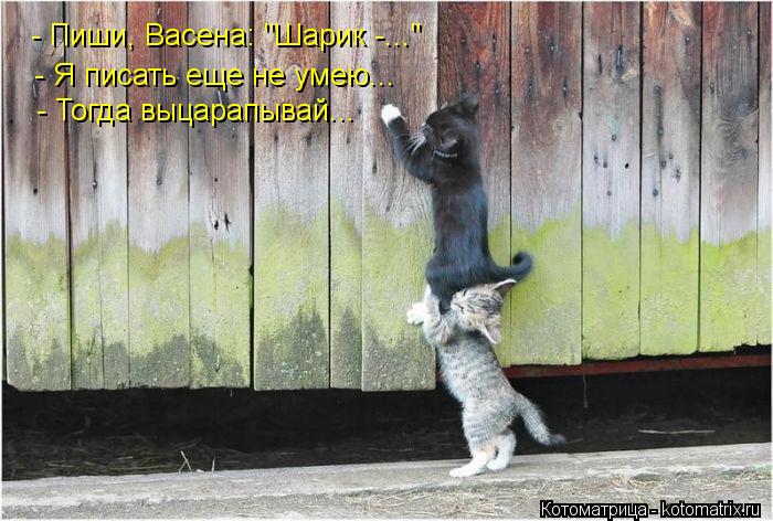 - Пиши, Васена: "Шарик -..." - Я писать еще не умею... - Тогда выцарапывай...... Котоматрица: - Пиши, Васена: "Шарик -..." - Я писать еще не умею... - Тогда выцарапывай...