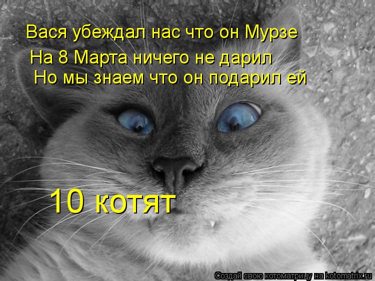 Котоматрица: Вася убеждал нас что он Мурзе  На 8 Марта ничего не дарил  Но мы знаем что он подарил ей 10 котят