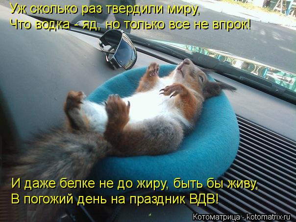 Уж сколько раз твердили миру, Что водка - яд, но только все не впрок! И даже белке не до жиру, быть б... Котоматрица: Уж сколько раз твердили миру, Что водка - яд, но только все не впрок! И даже белке не до жиру, быть бы живу, В погожий день на праздник ВДВ!