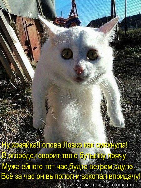 Ну,хозяйка!Голова!Ловко как смекнула! Мужа ейного тот час,будто ветром,сдуло. Всё за час он выполол и... Котоматрица: Ну,хозяйка!Голова!Ловко как смекнула! Мужа ейного тот час,будто ветром,сдуло. Всё за час он выполол и вскопал впридачу! В огороде,говорит,тво