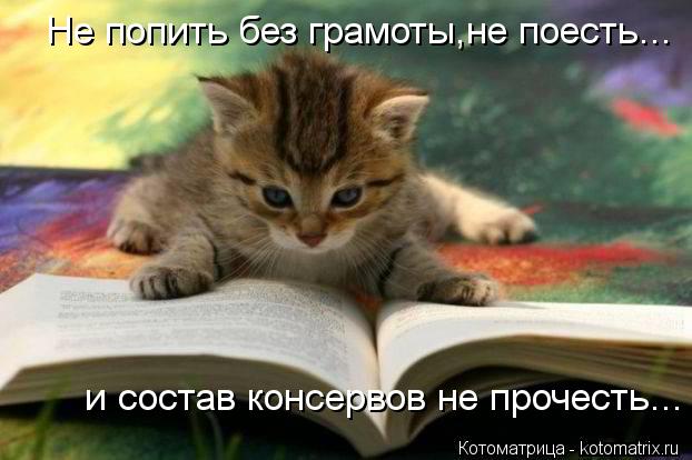 Не попить без грамоты,не поесть... и состав консервов не прочесть...... Котоматрица: Не попить без грамоты,не поесть... и состав консервов не прочесть...