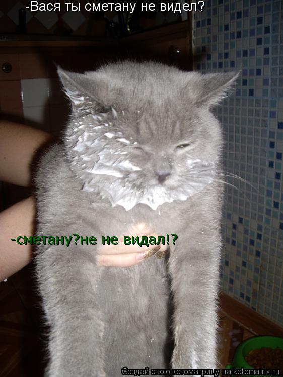 -Вася ты сметану не видел? -сметану?не не видал!?... Котоматрица: -Вася ты сметану не видел? -сметану?не не видал!?