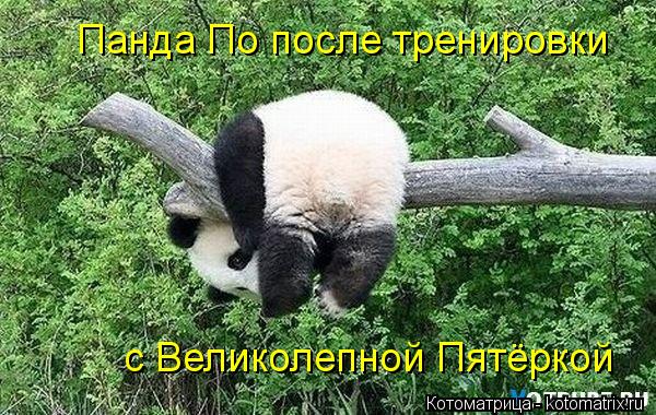 Панда По после тренировки с Великолепной Пятёркой... Котоматрица: Панда По после тренировки с Великолепной Пятёркой