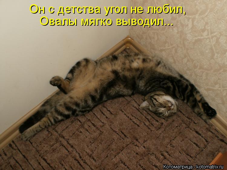 Котоматрица: Он с детства угол не любил, Овалы мягко выводил...