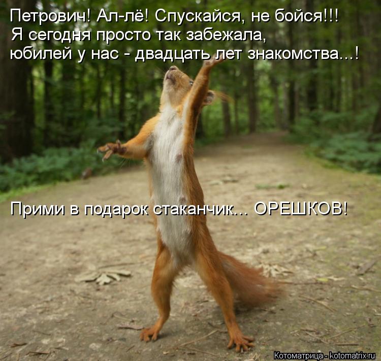 Котоматрица: Петрович! Ал-лё! Спускайся, не бойся!!! Я сегодня просто так забежала, юбилей у нас - двадцать лет знакомства...! Прими в подарок стаканчик... ОРЕ