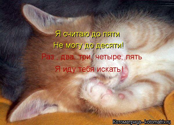 Я считаю до пяти Не могу до десяти! Раз , два, три, четыре, пять Я иду тебя искать !... Котоматрица: Я считаю до пяти Не могу до десяти! Раз , два, три, четыре, пять Я иду тебя искать !