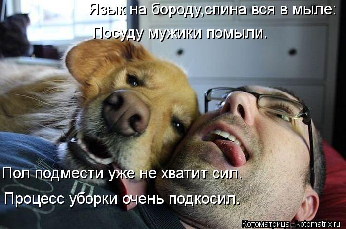 Котоматрица: Язык на бороду,спина вся в мыле: Посуду мужики помыли. Пол подмести уже не хватит сил. Процесс уборки очень подкосил.