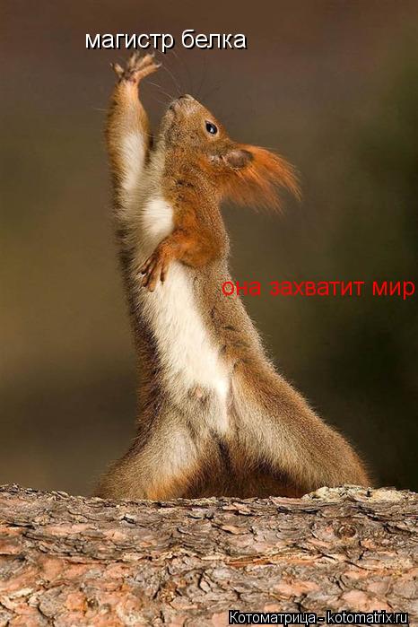 магистр белка она захватит мир... Котоматрица: магистр белка она захватит мир