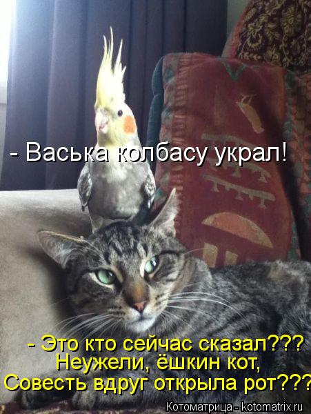 Котоматрица: - Васька колбасу украл! - Это кто сейчас сказал???  Неужели, ёшкин кот, Совесть вдруг открыла рот???