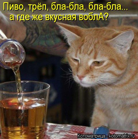 Котоматрица: Пиво, трёп, бла-бла, бла-бла... а где же вкусная воблА?