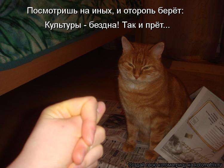 Культуры - бездна! Так и прёт... Посмотришь на иных, и оторопь берёт:... Котоматрица: Культуры - бездна! Так и прёт... Посмотришь на иных, и оторопь берёт: