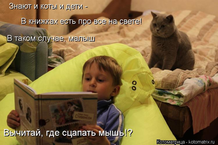Котоматрица: В таком случае, малыш Вычитай, где сцапать мышь!? В книжках есть про все на свете! Знают и коты и дети -