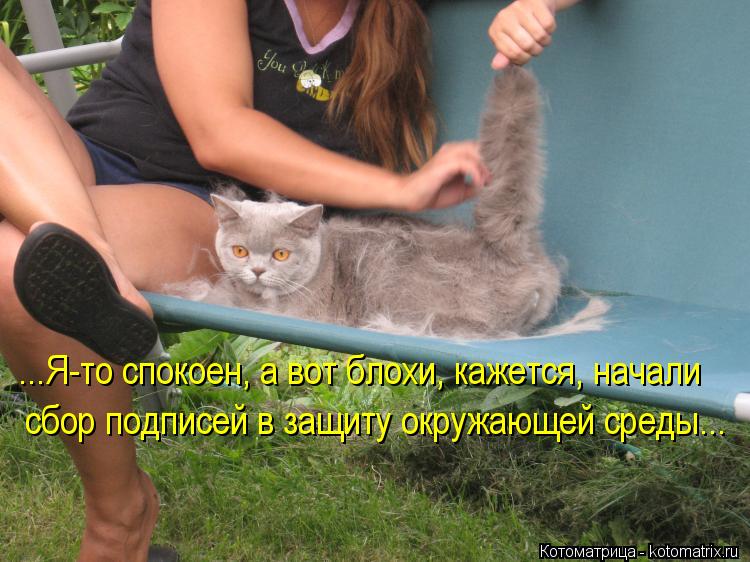 ...Я-то спокоен, а вот блохи, кажется, начали сбор подписей в защиту окружающей среды...... Котоматрица: ...Я-то спокоен, а вот блохи, кажется, начали сбор подписей в защиту окружающей среды...