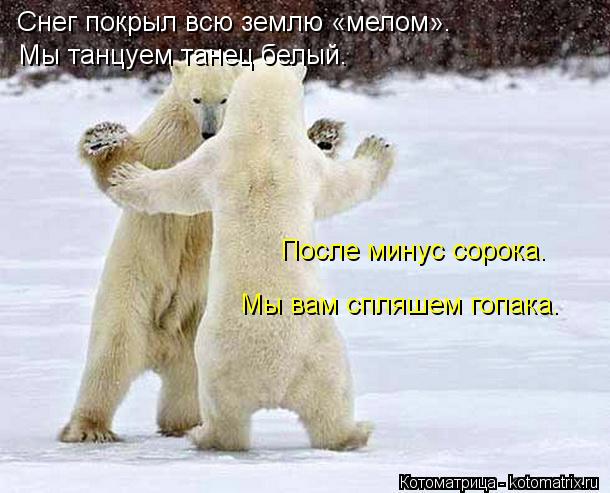 Снег покрыл всю землю «мелом». Мы танцуем танец белый. После минус сорока. Мы вам спляшем гопака.... Котоматрица: Снег покрыл всю землю «мелом». Мы танцуем танец белый. После минус сорока. Мы вам спляшем гопака.