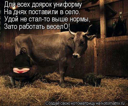 Котоматрица: Для всех доярок униформу На днях поставили в село. Удой не стал-то выше нормы, Зато работать веселО!