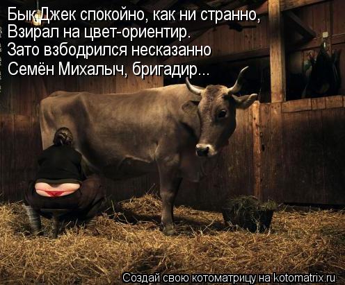 Котоматрица: Бык Джек спокойно, как ни странно, Взирал на цвет-ориентир. Зато взбодрился несказанно Семён Михалыч, бригадир...