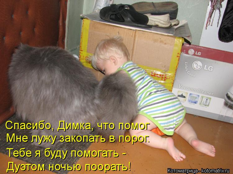 Котоматрица: Тебе я буду помогать -  Мне лужу закопать в порог. Спасибо, Димка, что помог Дуэтом ночью поорать!